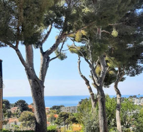 Maison entre Pins et Mer